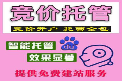 sem托管服务实战案例：精准定位，广告投放效果显著